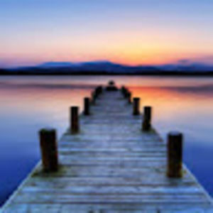 Meet your Posher, Maya